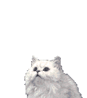 GATTO