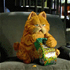 garfield
