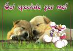 Invia la tua cartolina