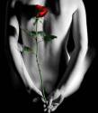 rosa1