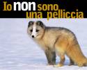 non sono una pelliccia, pelliccia, salvaguardia
