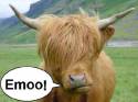 mucca emo,hello kitty
