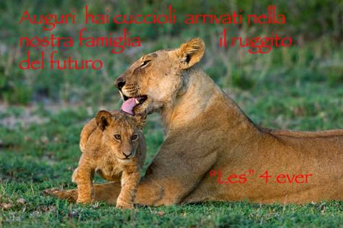 Vedi a dimensioni reali!
