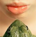 kiss a frog
